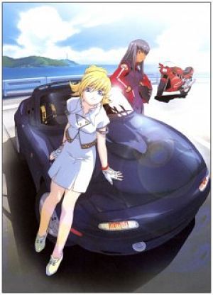 Экс-Драйвер: Опасная зона OVA [2002] / eX-Driver: Nina & Rei Danger Zone