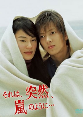 Это было внезапно, словно шторм [2004] / Sore wa, Totsuzen, Arashi no you ni